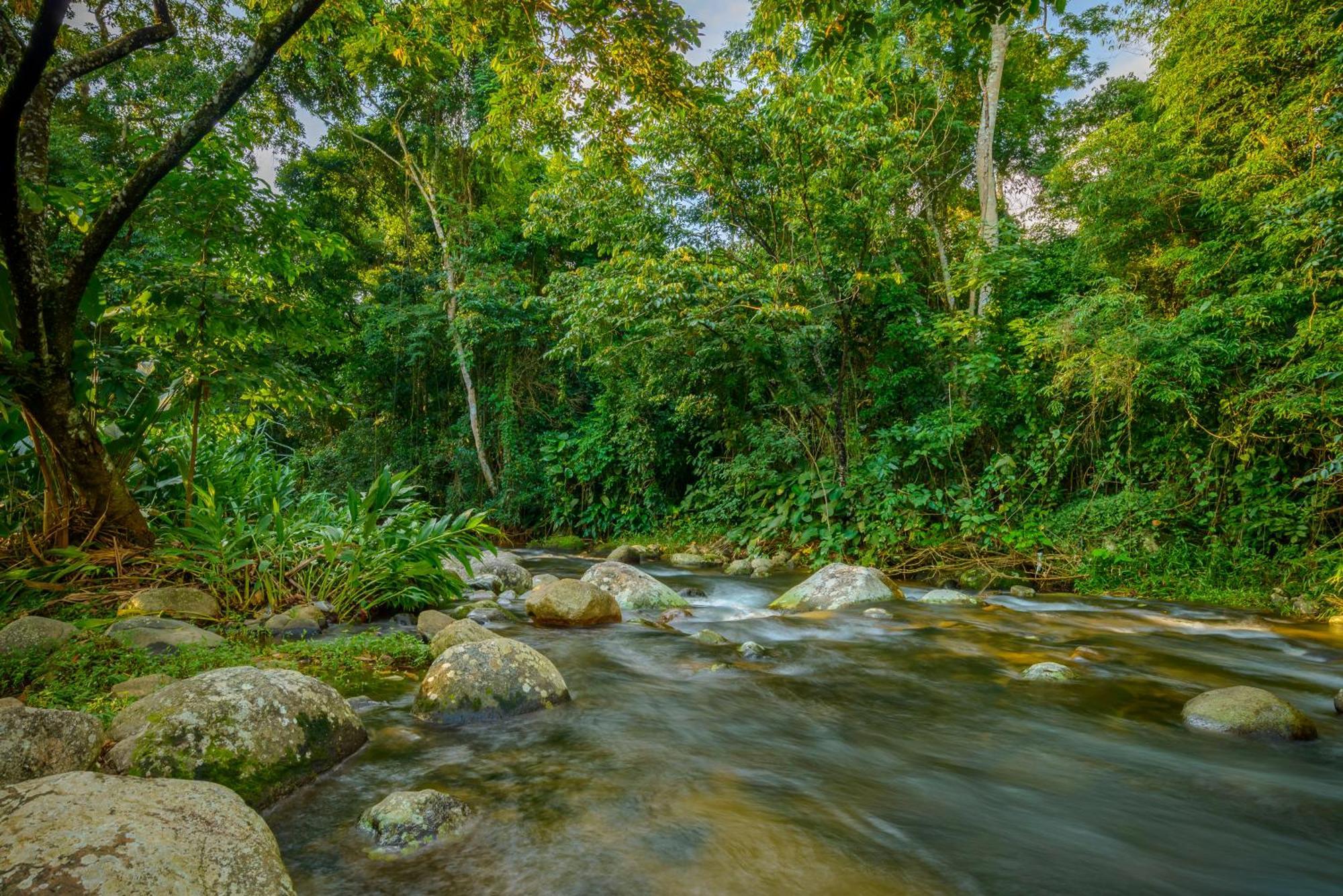 Velinn Pousada Bromelias Ilhabela Bagian luar foto