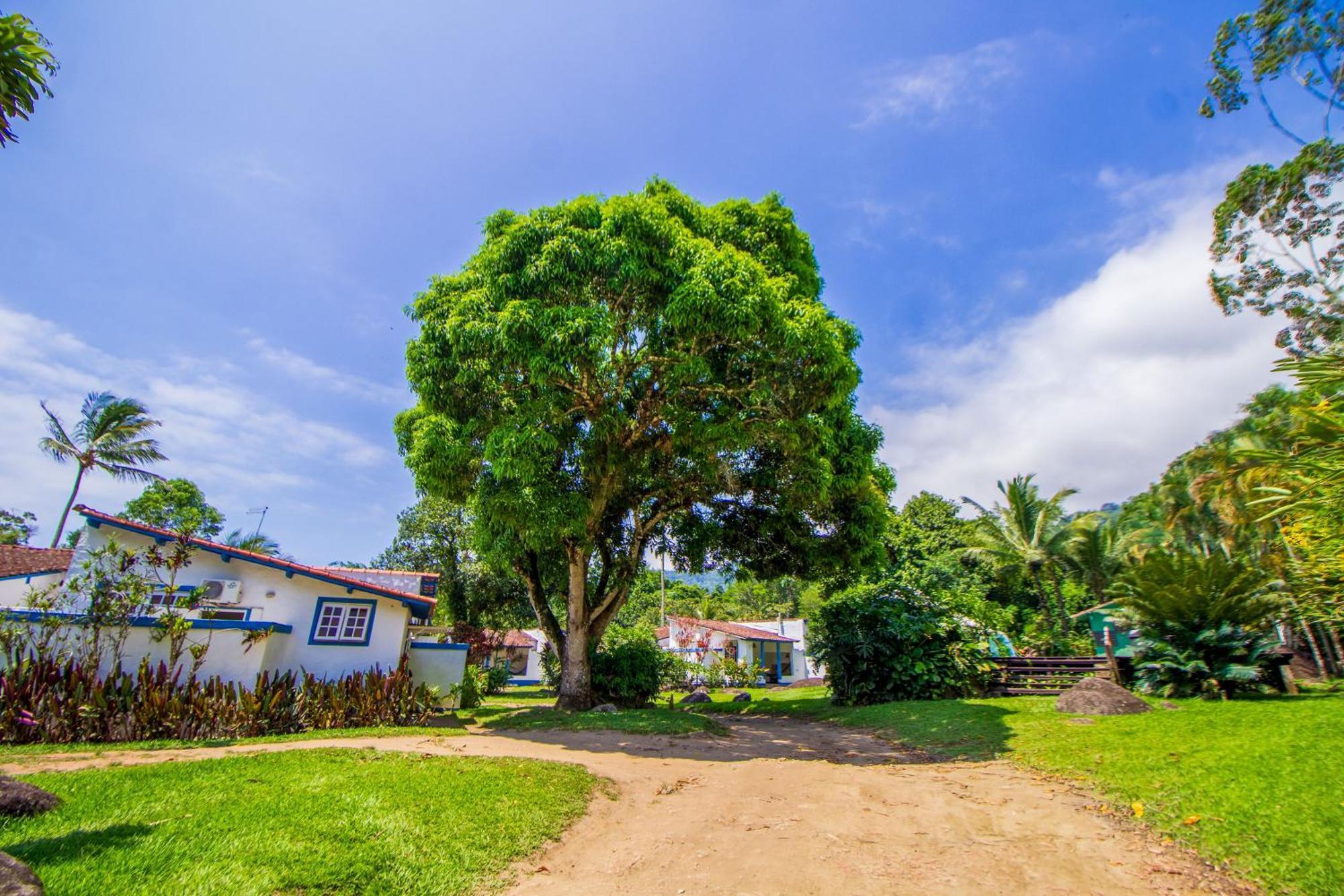 Velinn Pousada Bromelias Ilhabela Bagian luar foto